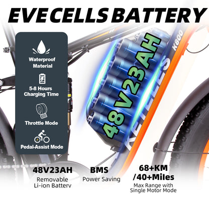 1000W Fat Tire Ebikes