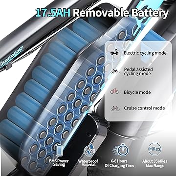 1000W electric bike