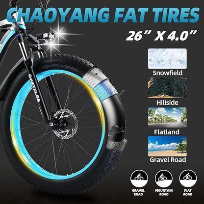 K800 1000W  Fat Tire Electric Bike