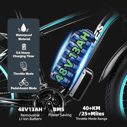 K800 1000W  Fat Tire Electric Bike