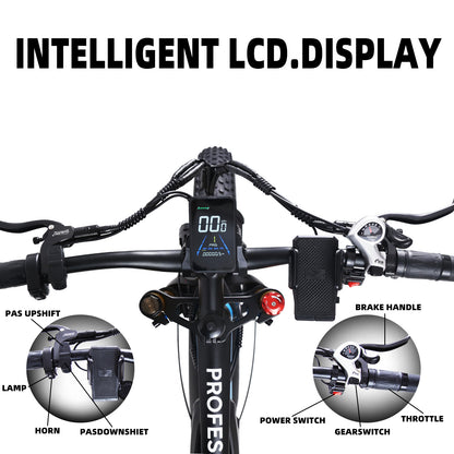 1000W Fat Tire Ebikes