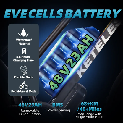  1000W fat tires electric bike 