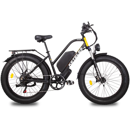  1000W fat tires electric bike 